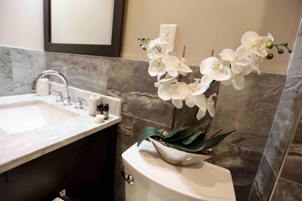 פילדלפיה 504 Luxe 1Bdr Apt In Center City מראה חיצוני תמונה